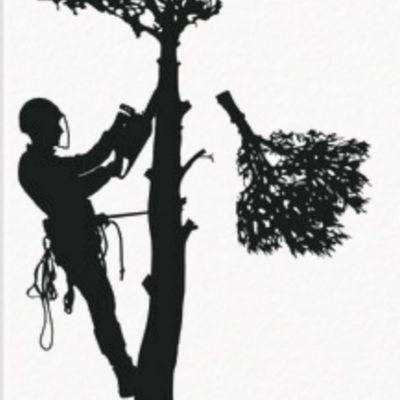 Avatar for Security Tree Services