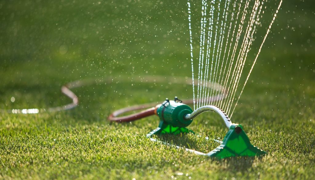 watering grass and lawn