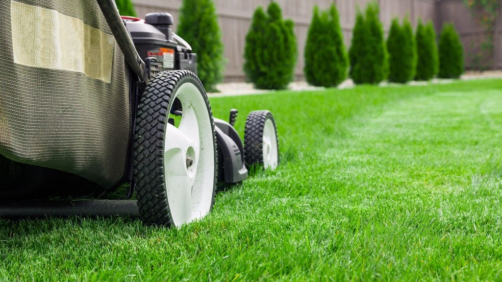 mowing the lawn