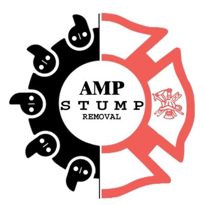 Avatar for AMP Removal