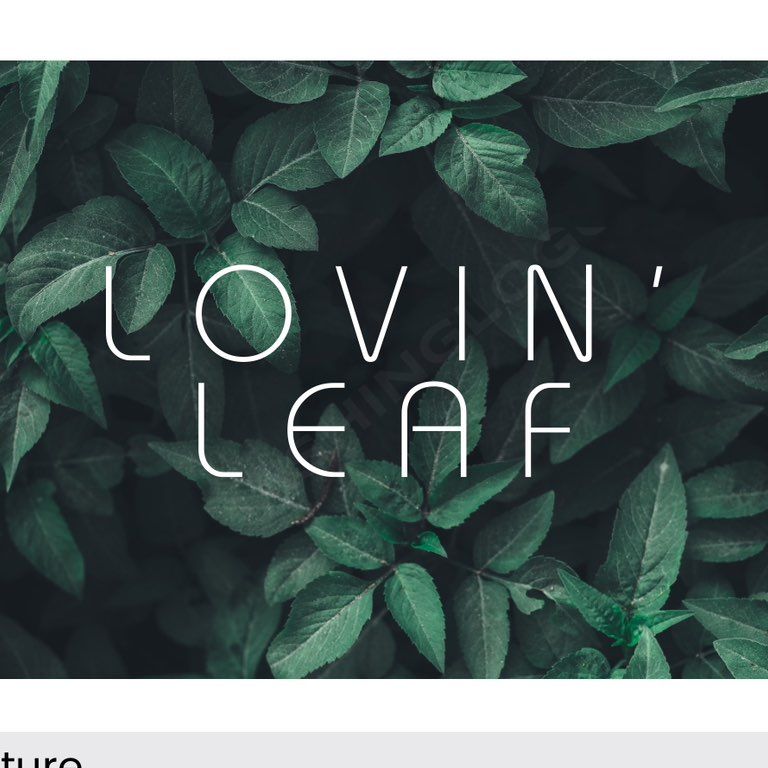 Lovin’ Leaf