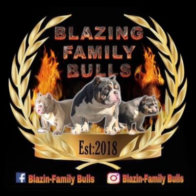 Avatar for Blazing Family Bulls LLC