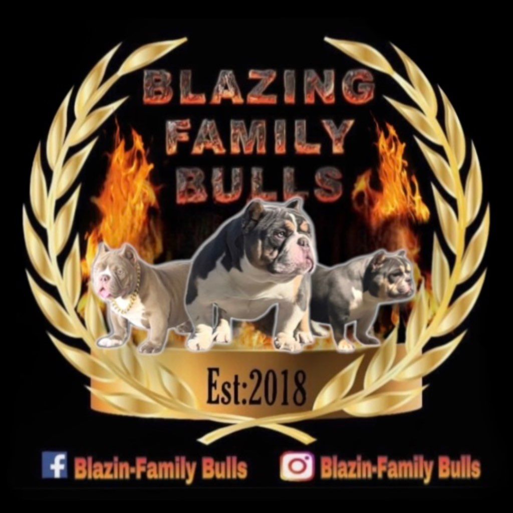 Blazing Family Bulls LLC