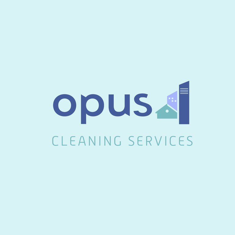 Opus4Cleaning