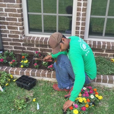 Avatar for Blooming Garden Home Maintenance