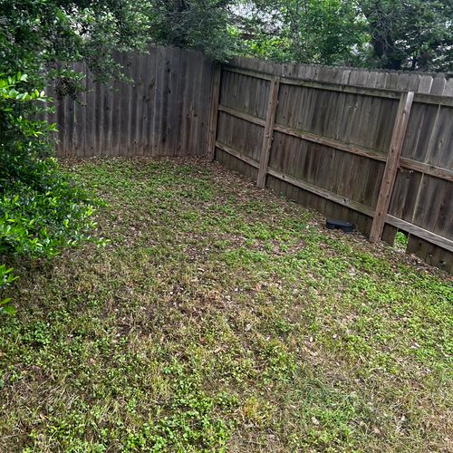 I recently hired TXG landscape to cut my grass, an