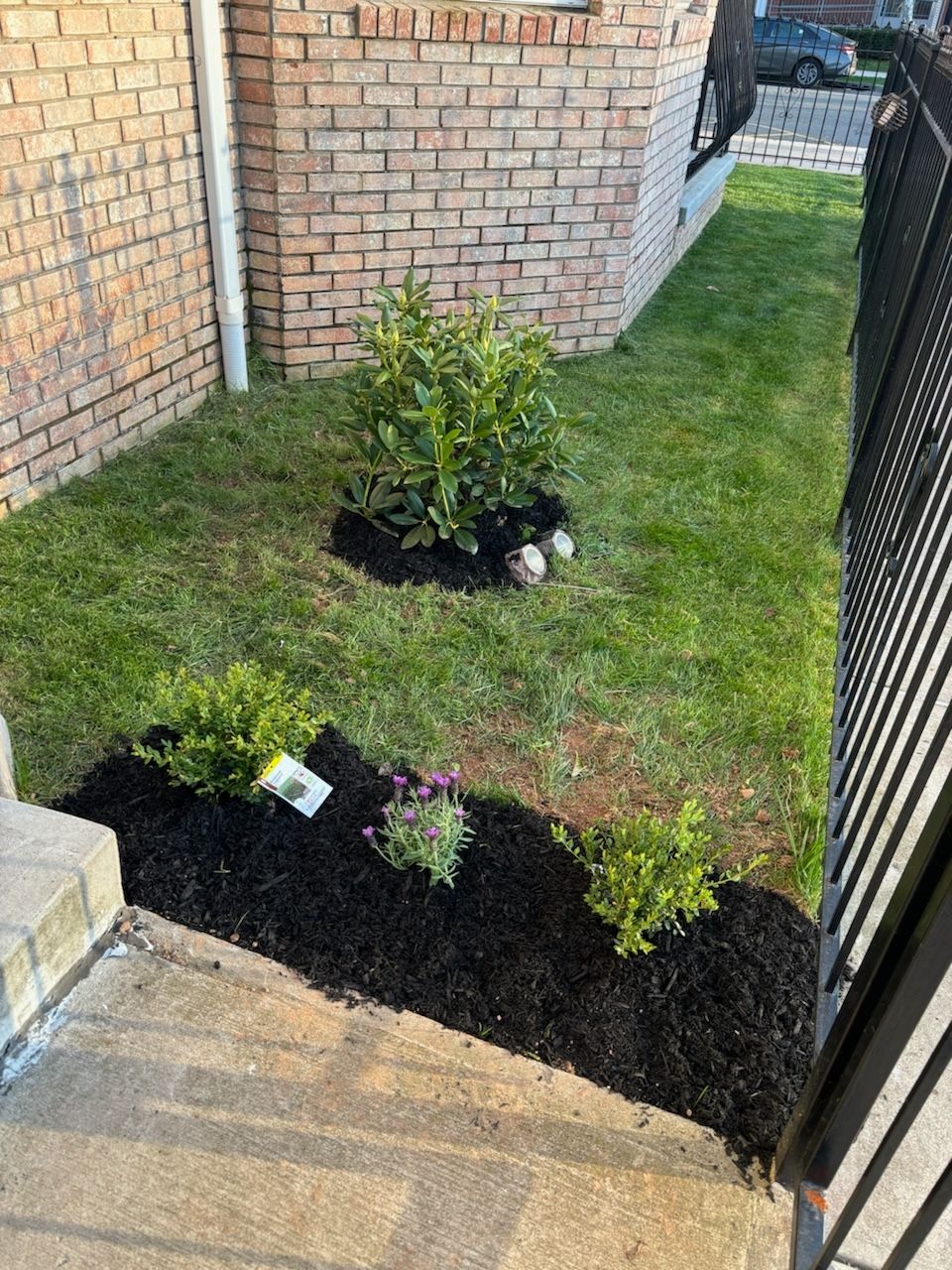 Customer photos