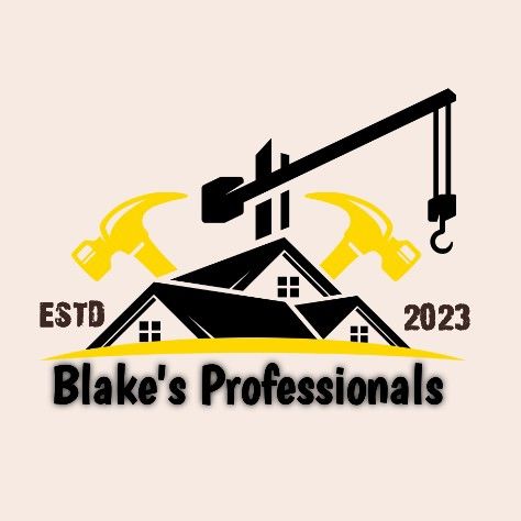 Blake's Professionals