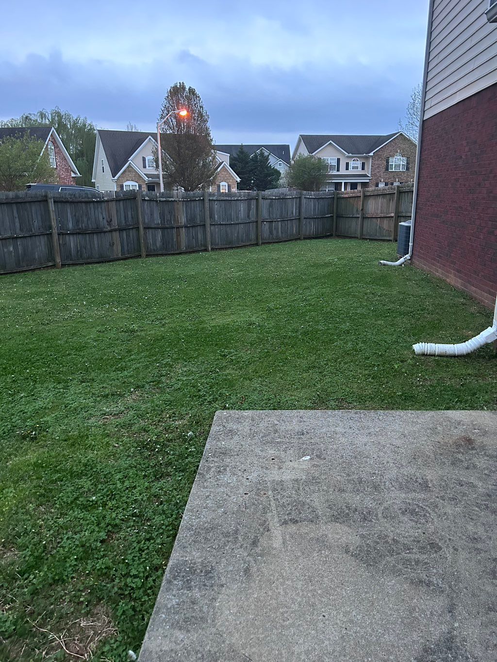 Customer photos