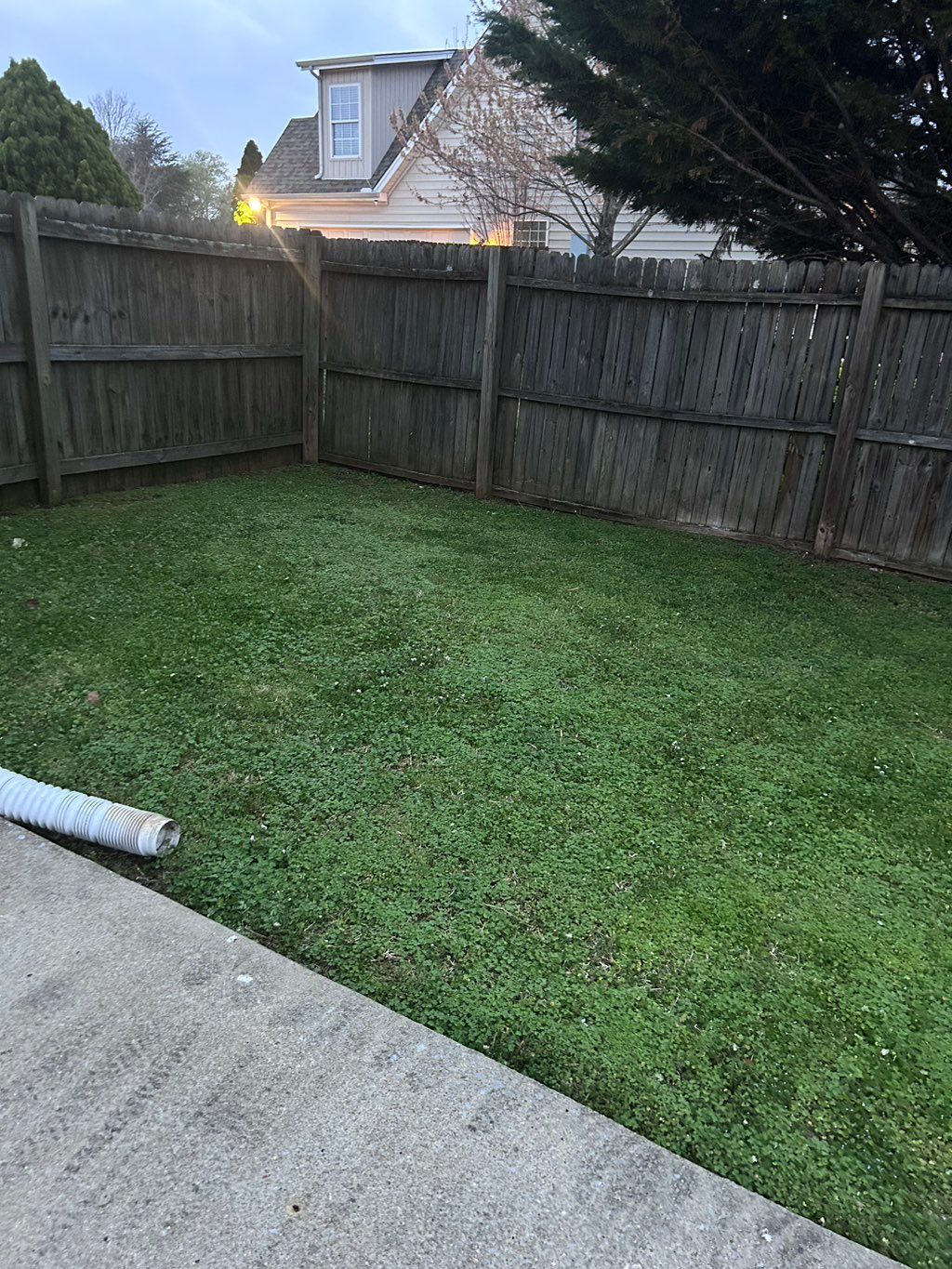 Customer photos