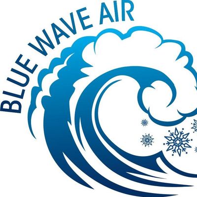 Avatar for Blue Wave Air
