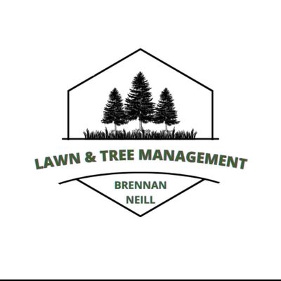 Avatar for Lawn and Tree Management