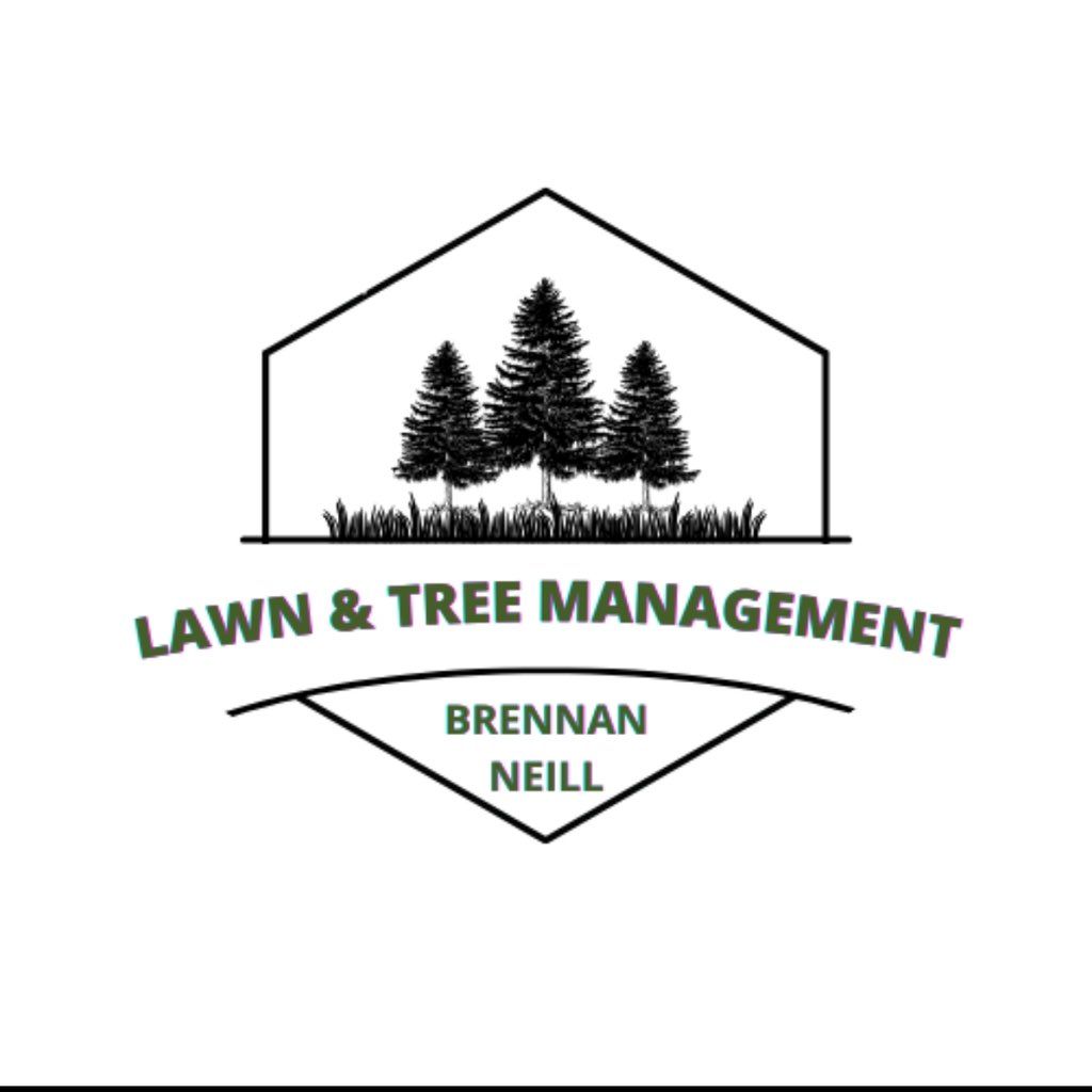 Lawn and Tree Management