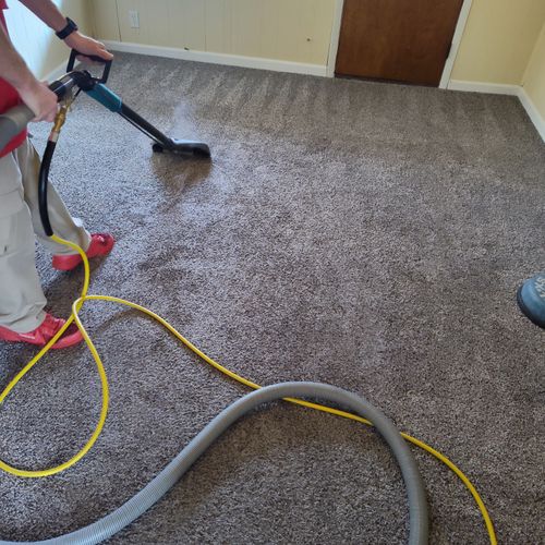 Carpet Cleaning