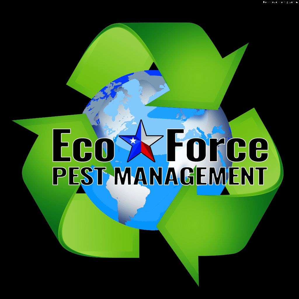 EcoForce Pest Management
