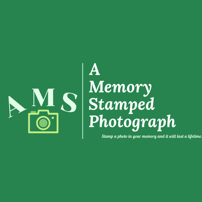 Avatar for A Memory Stamped Photograph