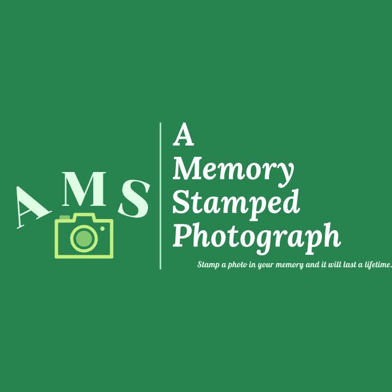 A Memory Stamped Photograph