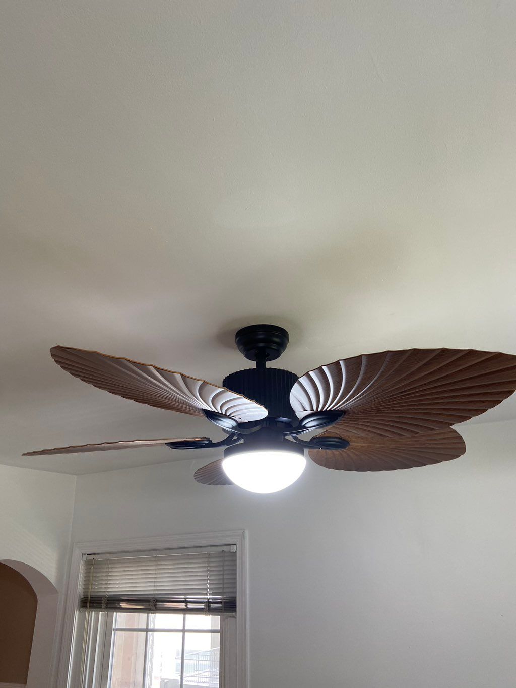 Ceiling fan/light install.