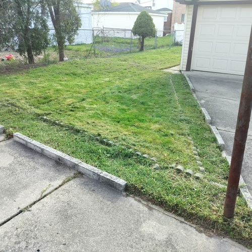 Xavier did a great job with my yard. He cleaned an