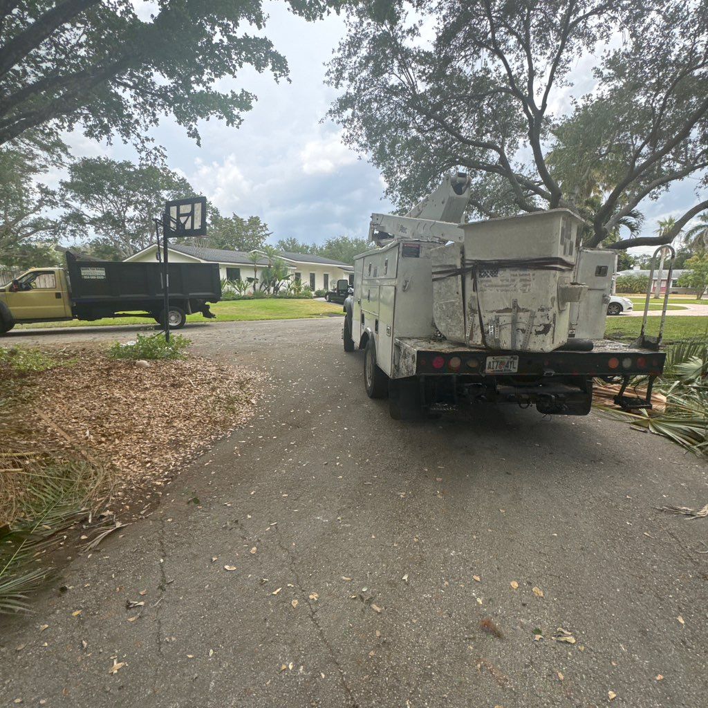 Quality Tree service