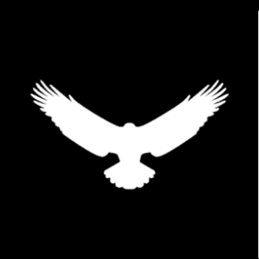 Apex Appliance Services LLC