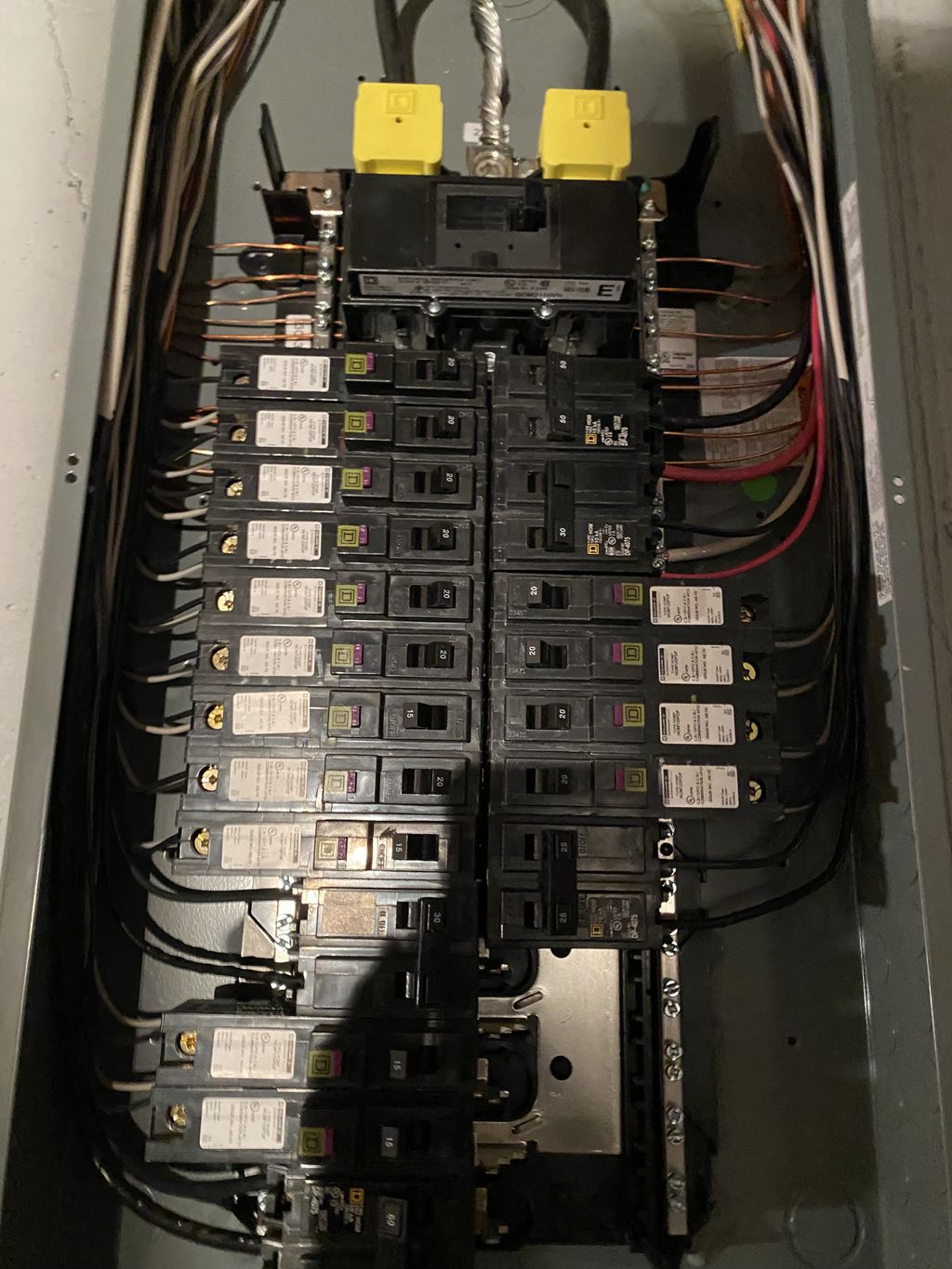 Projects and media