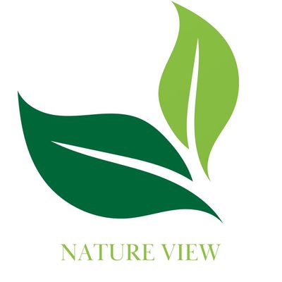 Avatar for Nature view landscaping and construction