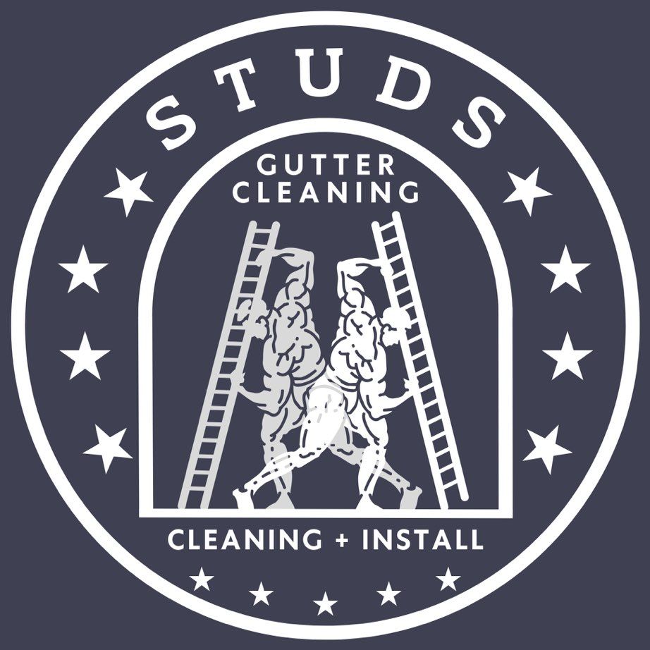Studs Gutter Cleaning