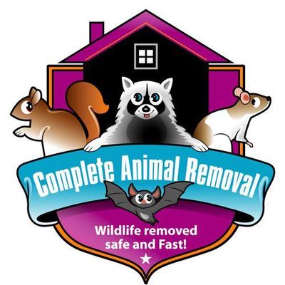 Avatar for Complete Animal Removal