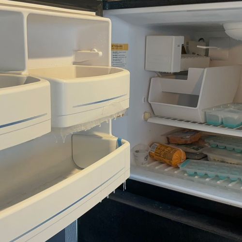 Freezer Before