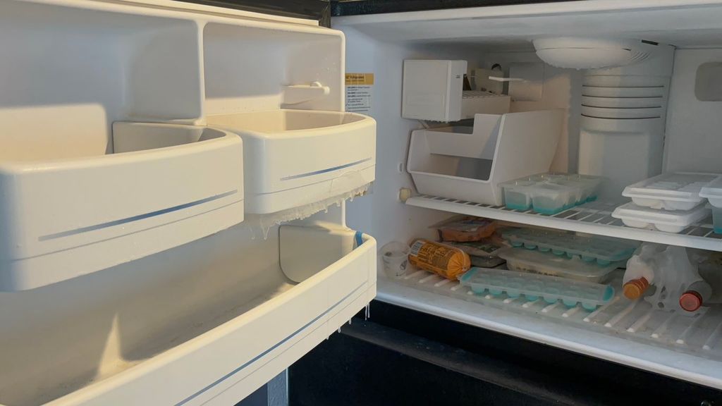 Freezer Before