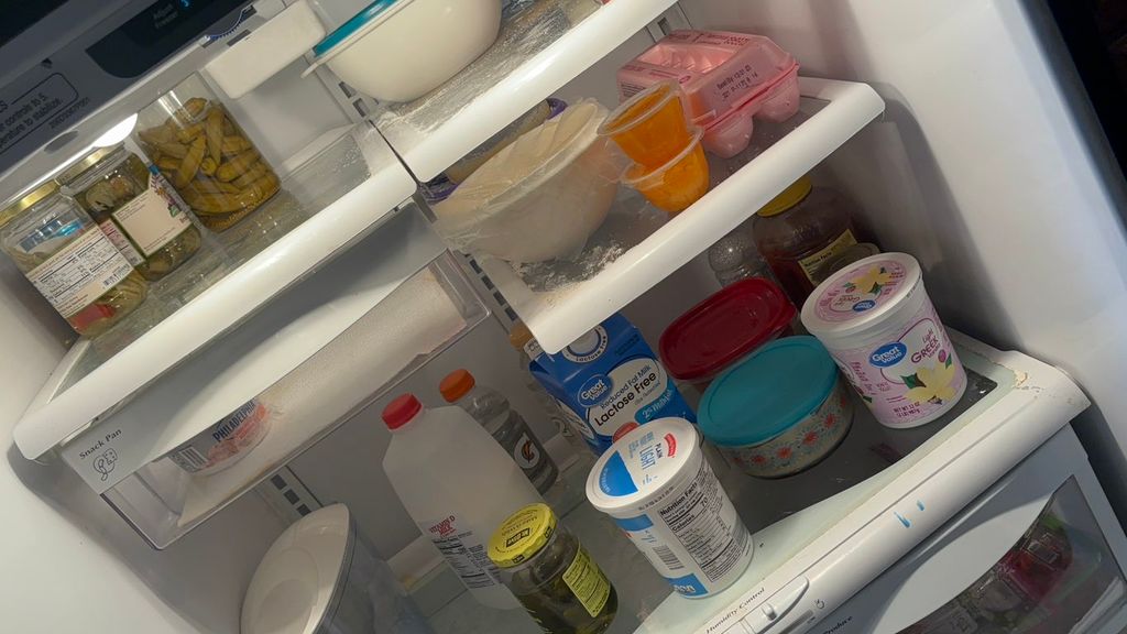 Fridge Before