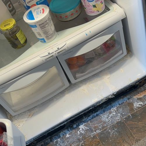 These Fridge/Freezer Photos are from a cleaning we