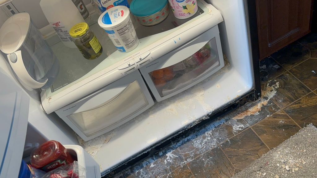 These Fridge/Freezer Photos are from a cleaning we