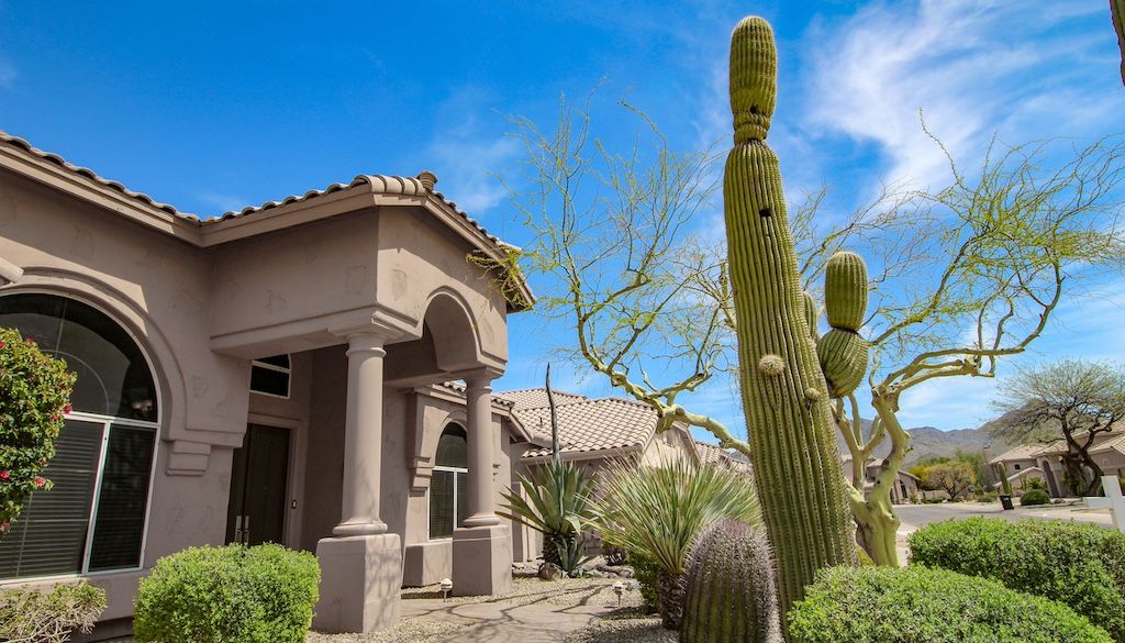 front yard desert landscape design