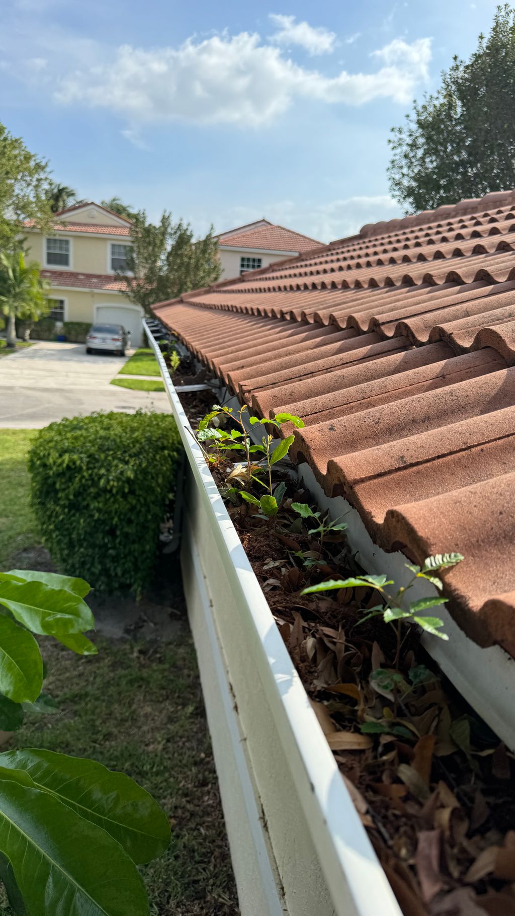 Gutter Cleaning and Maintenance