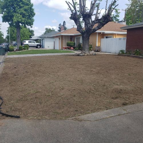 Rototilled my front lawn and got the job done at a
