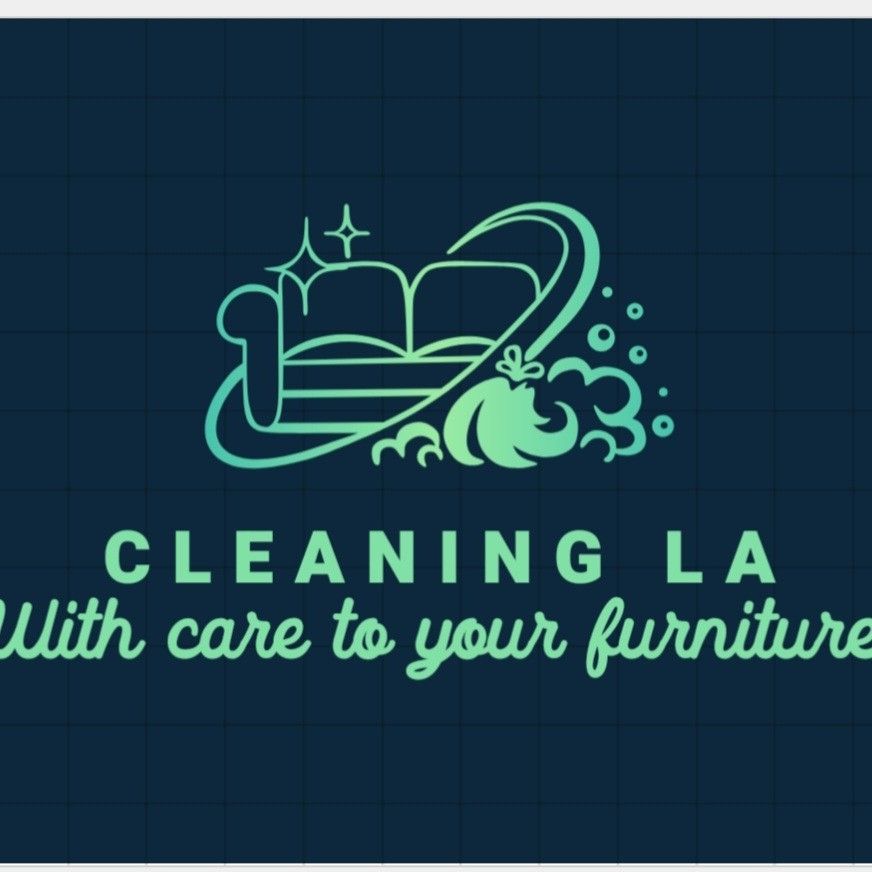 Cleaning LA