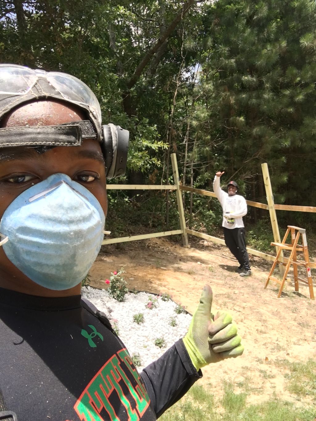 Projects and media