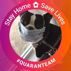 pro avatar