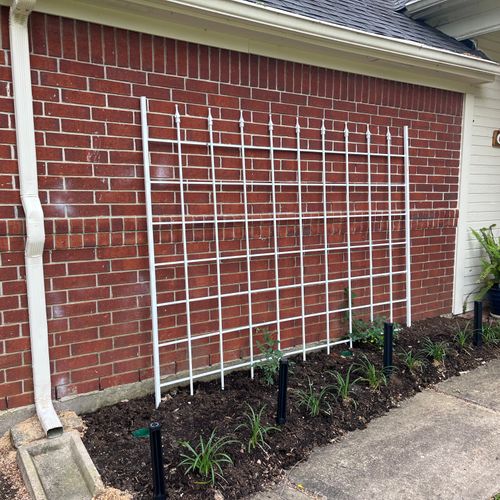 Landscaping After:  Proportional trellis, energy e