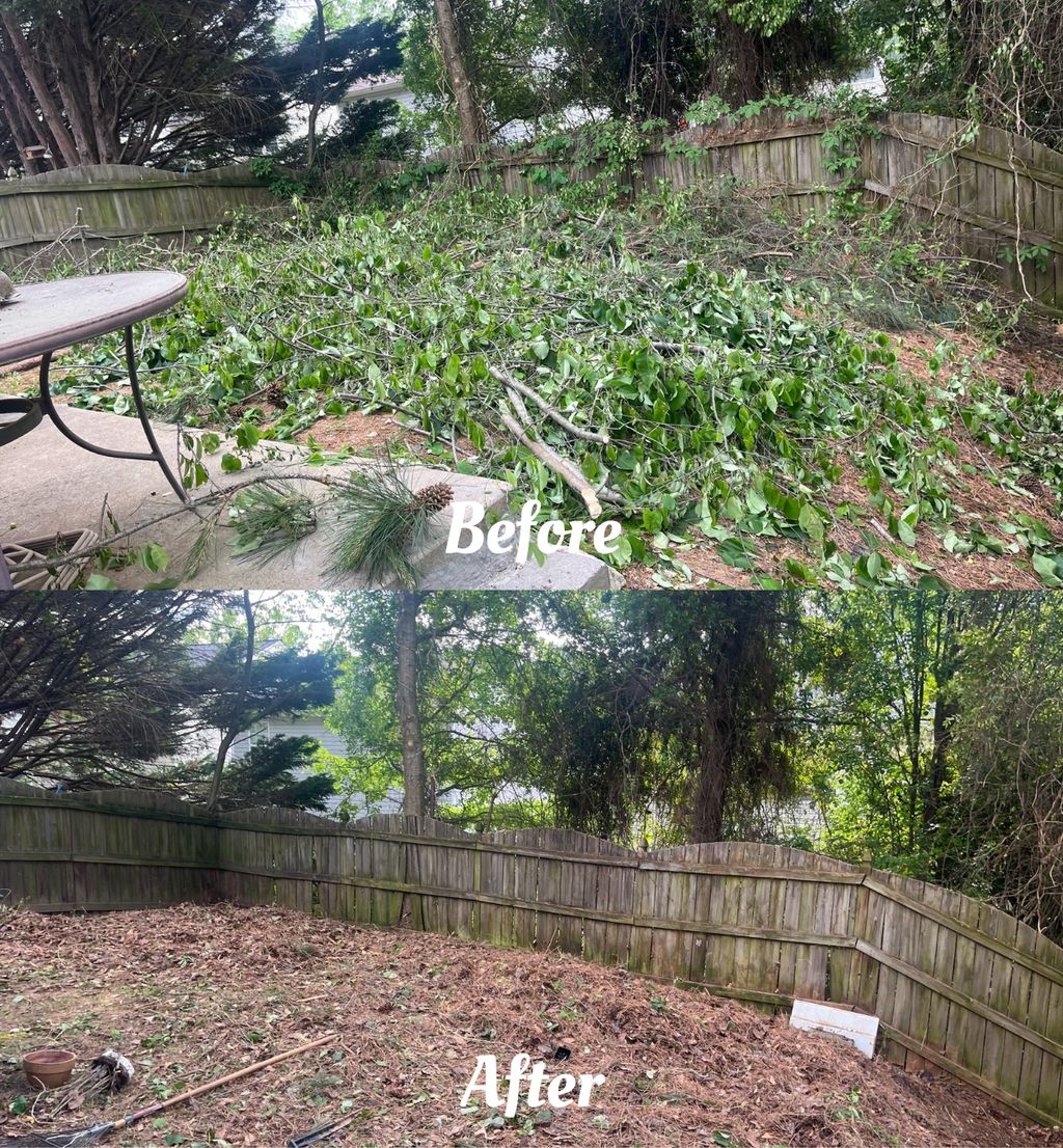 Tree Limbs Removal