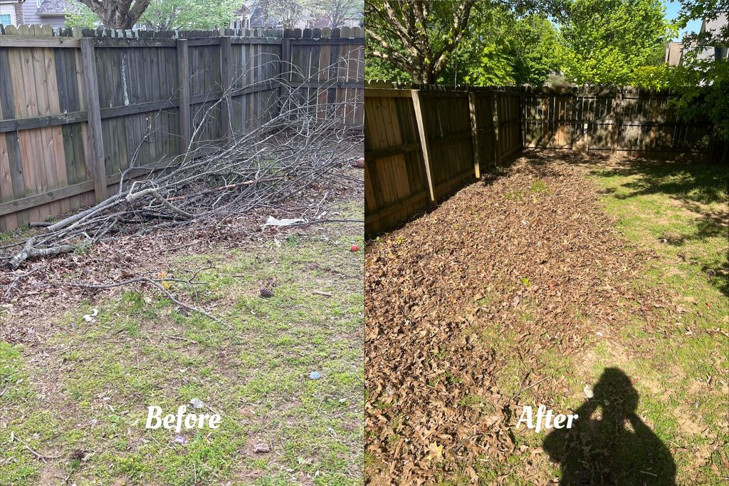 Tree Limbs Removal