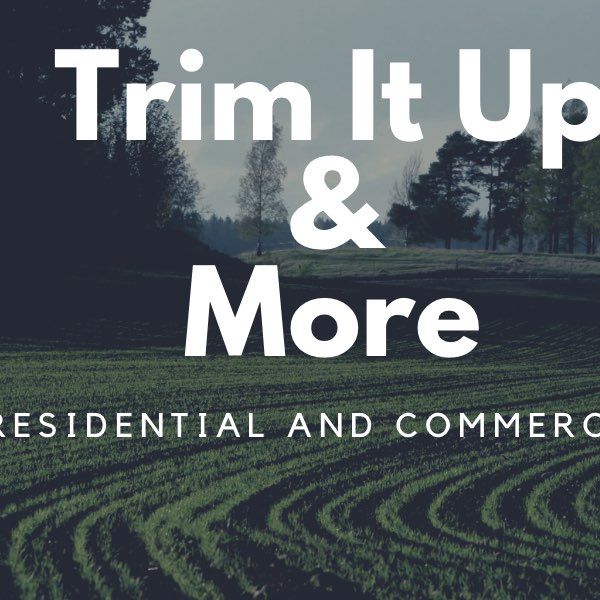 Trim It Up & More LLC