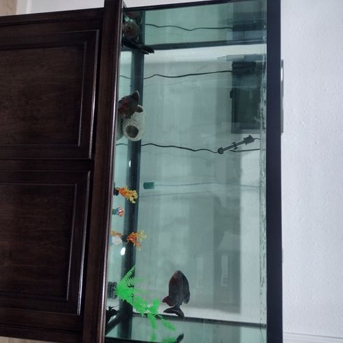 If you need Professional Fishtank cleaning, Go wit