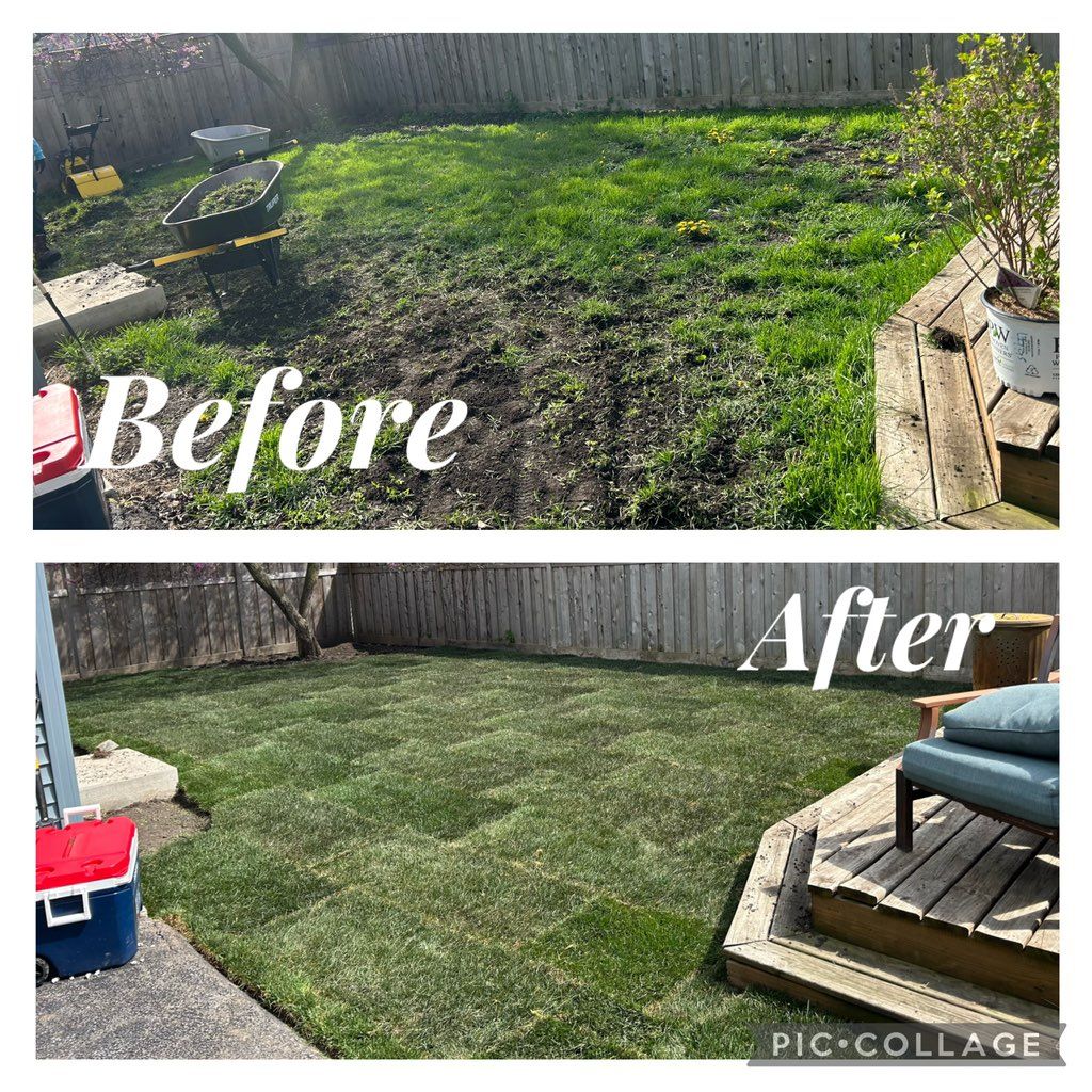 Removed old grass and installed new sod! Also, Cre