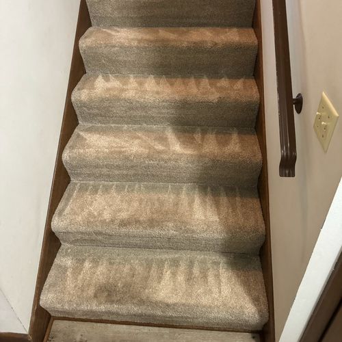 Remarkable difference in our carpet after GreenWav