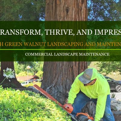 Avatar for Green Walnut Landscaping and Maintenaince, Inc
