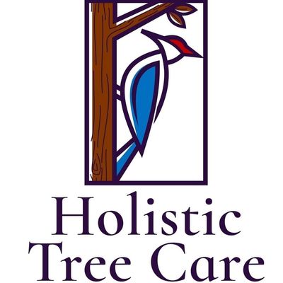Avatar for Holistic Tree Care