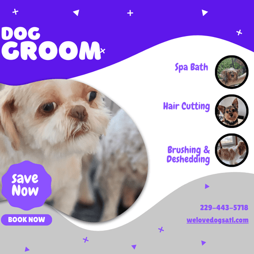 Dog Grooming